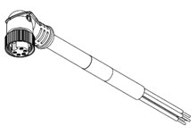  - 1300061356 - Image 1