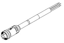 BradPower D-Size - 1300630092 - Image 1