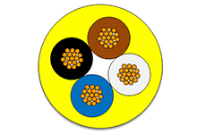1552400020