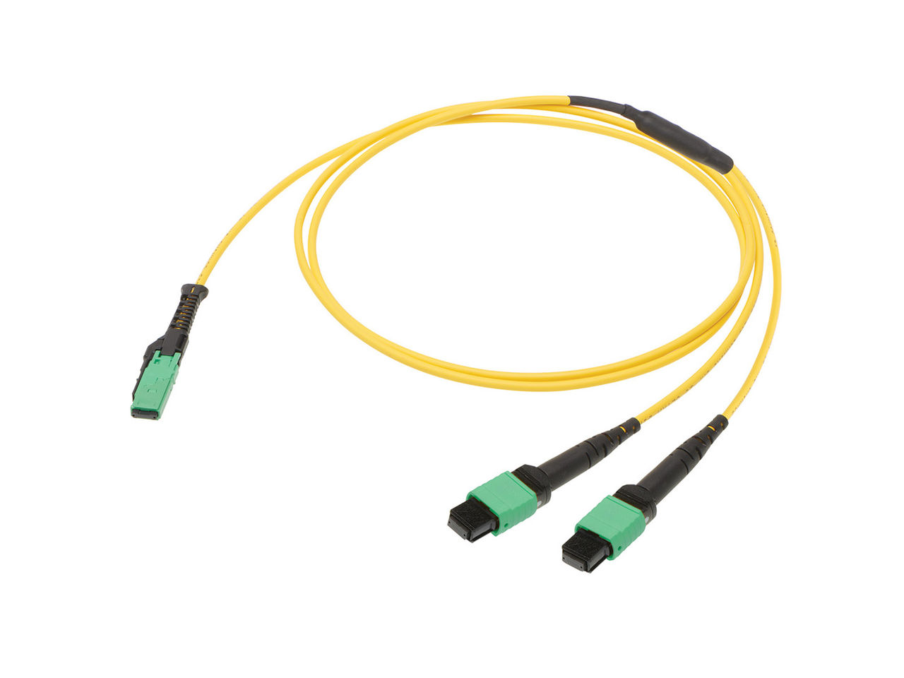 Molex MPO Cable Assemblies and Adapters. 