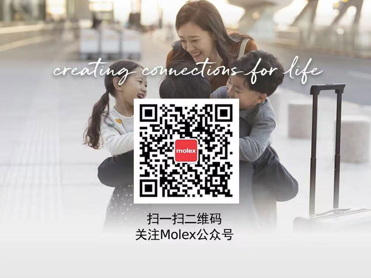 莫仕微信公众号